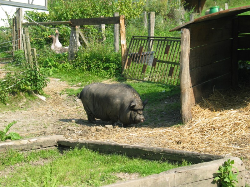 RUW_2008_036.JPG