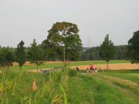 RUW_2008_010.JPG