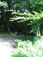 IMG_1353.JPG