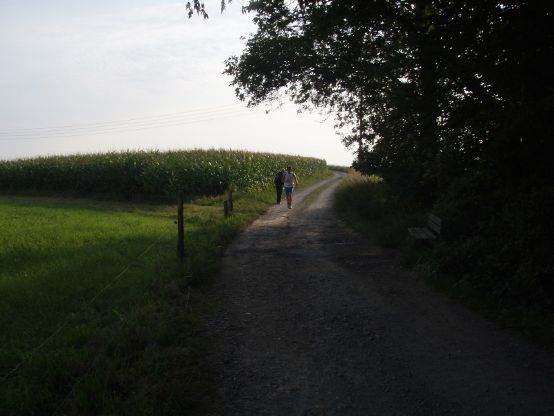 P8172917.JPG