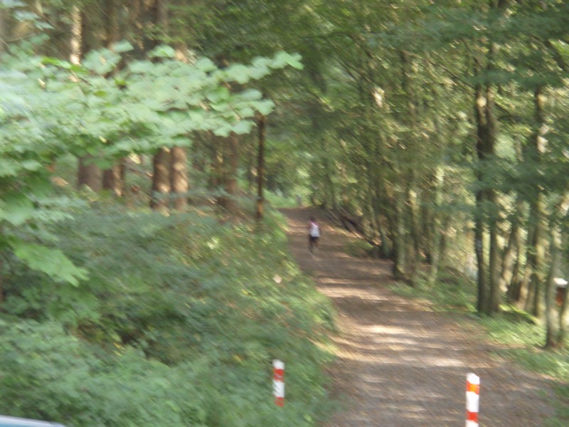 P8172952.JPG