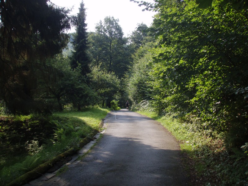 P8172954.JPG